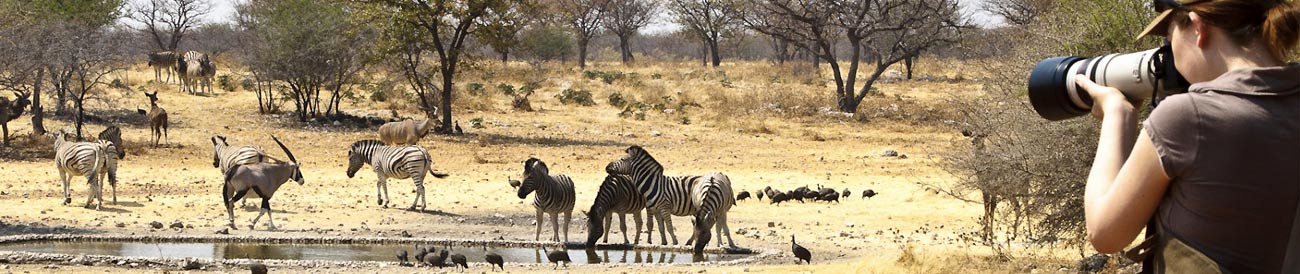 A Namibian Self-Drive Adventure